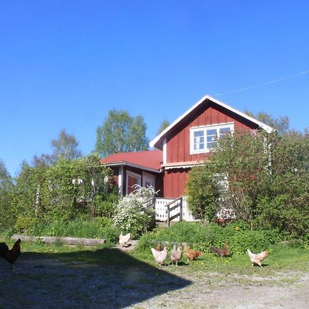 Boende Naera Romme Alpin Och Andra Friluftsaktiviteter I Dalarna Smedjebacken Εξωτερικό φωτογραφία