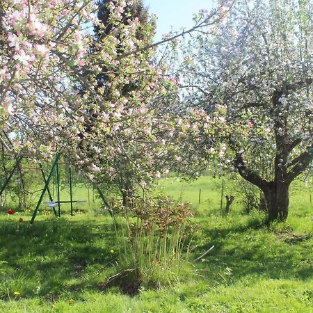 Boende Naera Romme Alpin Och Andra Friluftsaktiviteter I Dalarna Smedjebacken Εξωτερικό φωτογραφία
