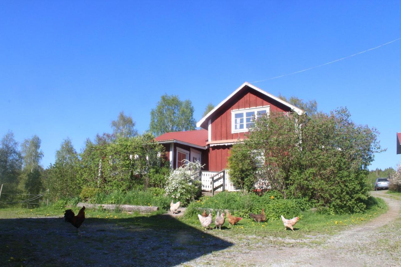 Boende Naera Romme Alpin Och Andra Friluftsaktiviteter I Dalarna Smedjebacken Εξωτερικό φωτογραφία